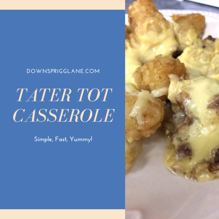 Tater Tot Casserole